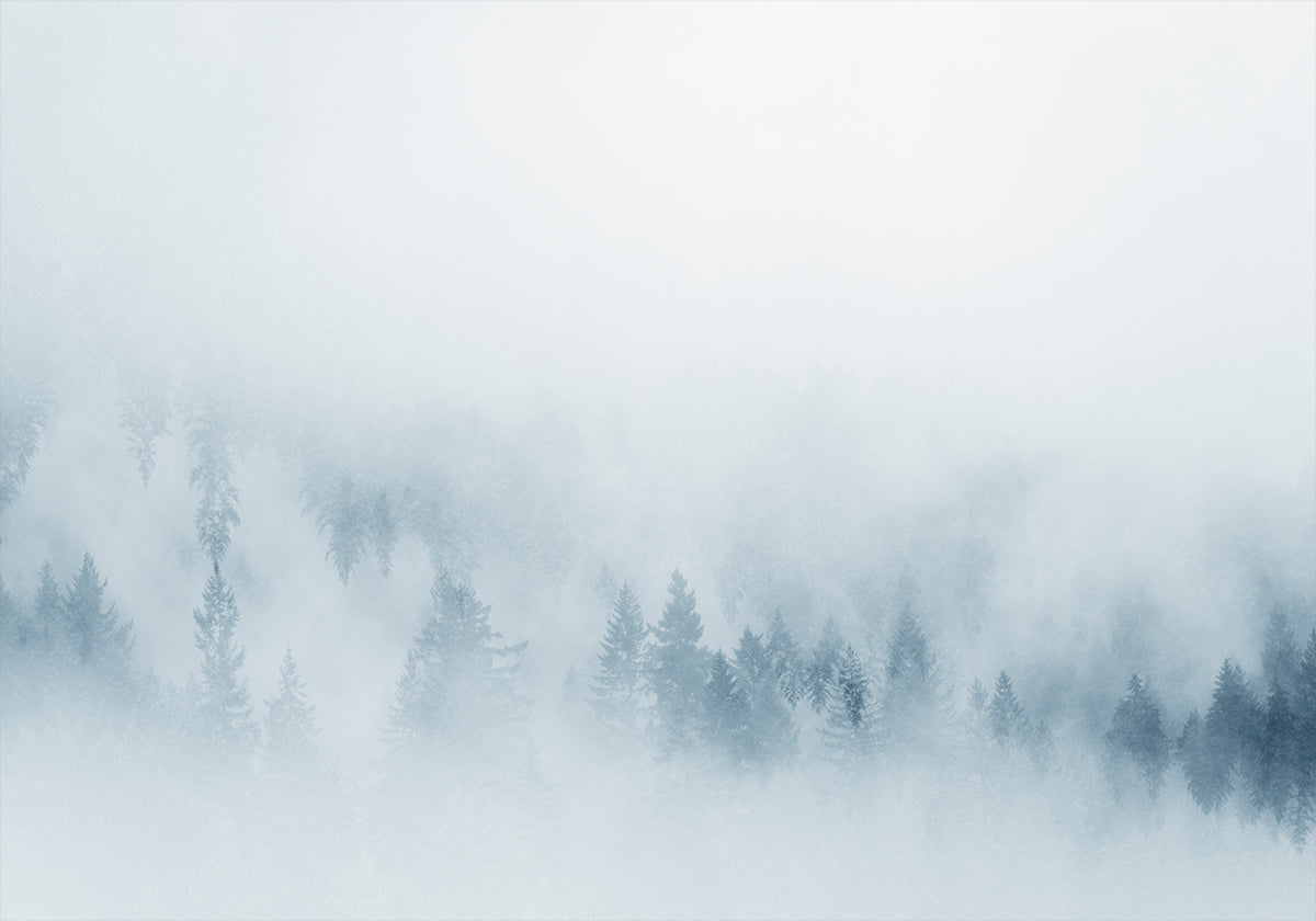 Misty Pines Plakat - Posterbox