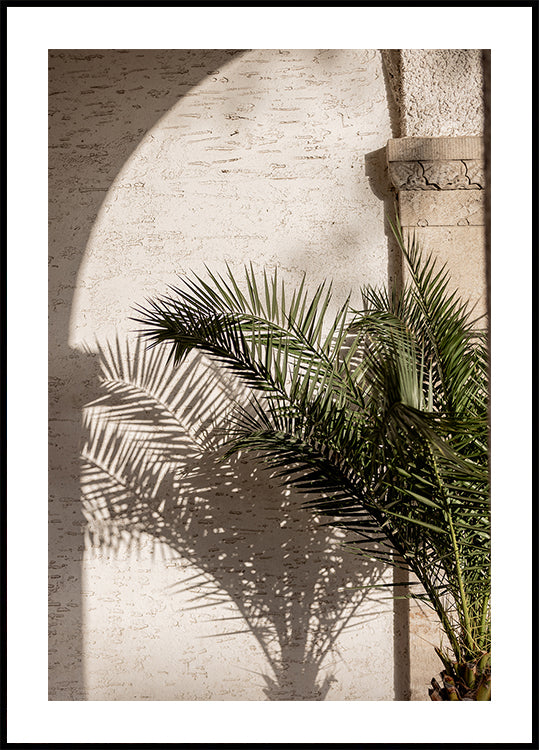 Arched Light 2 (NEW) - Posterbox