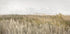 Dunes and Clouds 2 - Posterbox