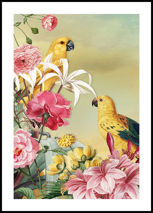 Birds From Paradise (NEW) - Posterbox