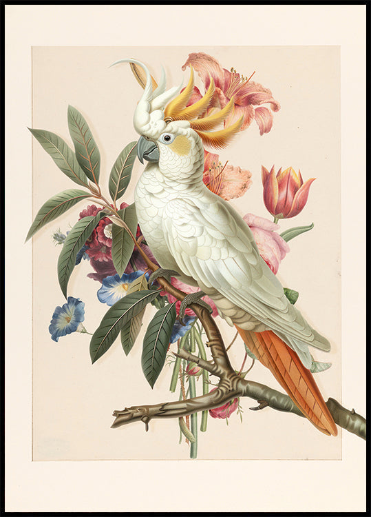 Henriëtta’s Bird (NEW) - Posterbox
