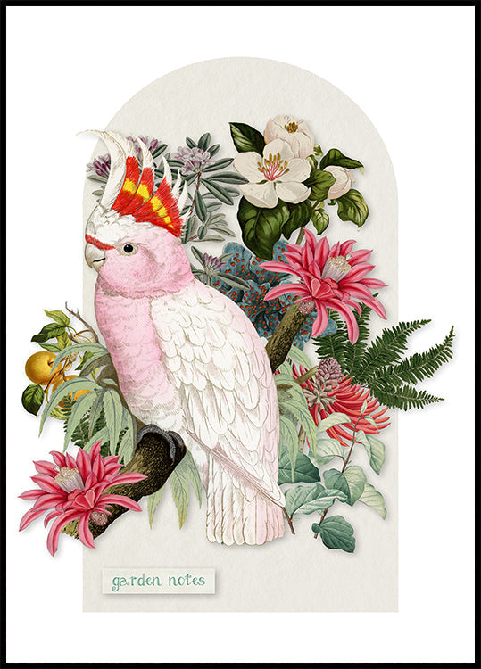 Inca Cockatoo - Collage Remix (NEW) - Posterbox