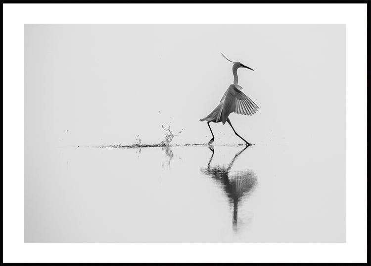 Dancing on the water Plakat - Posterbox