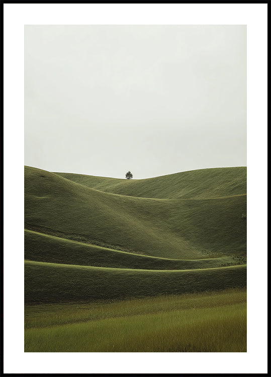 Foggy Green Hill (NEW) - Posterbox