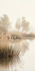 Misty Lake (NEW) - Posterbox