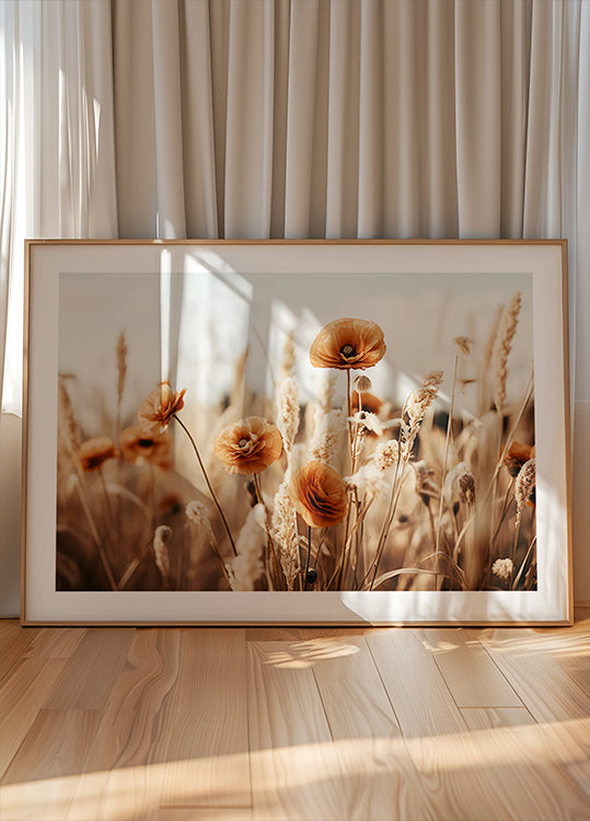 Mohnblumen im Wind