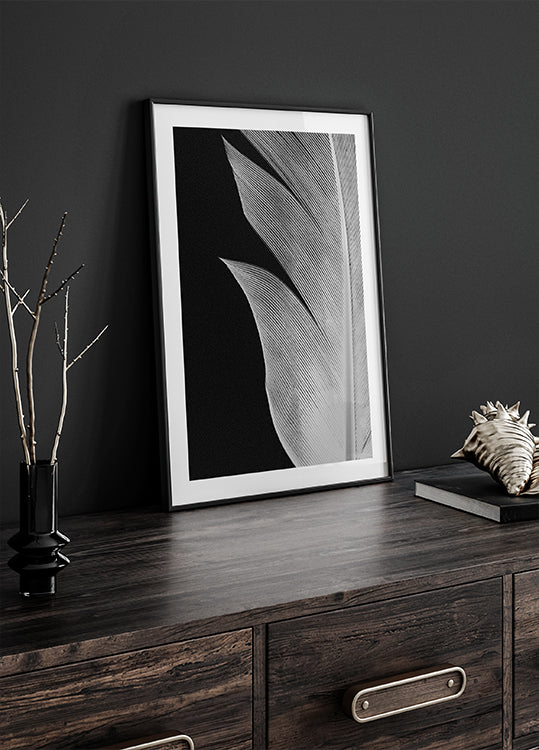 Feder Nr.5 Poster