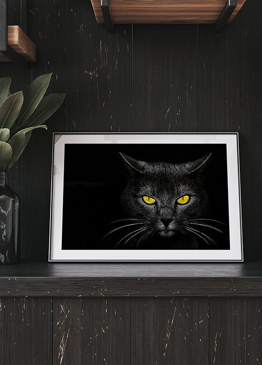 Schwarzes Katzenplakat