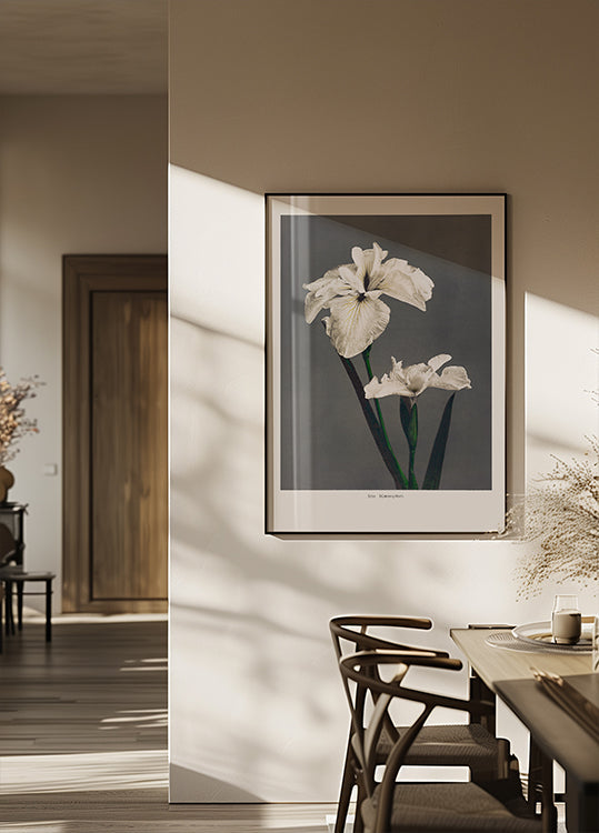 Iris Kæmpferi Poster