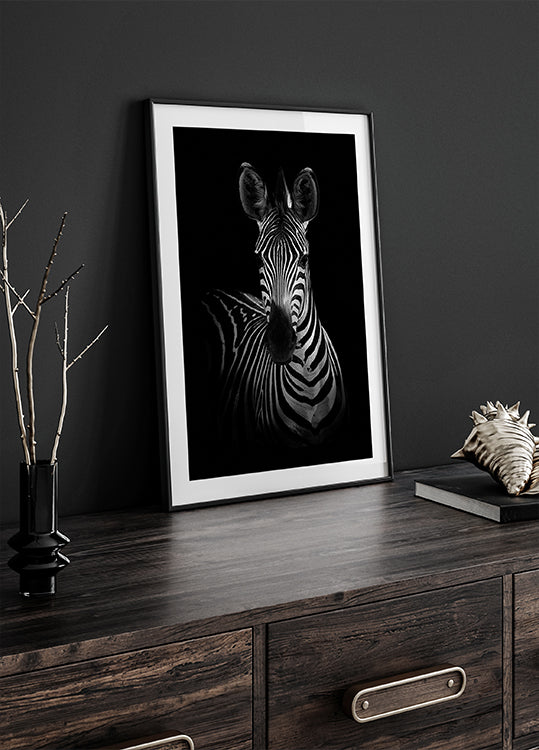 Das Zebra-Poster
