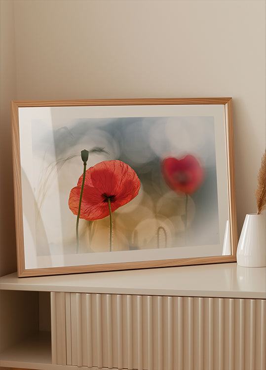 Morgenmohn