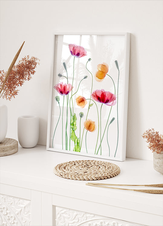 Mohnblumen-Poster