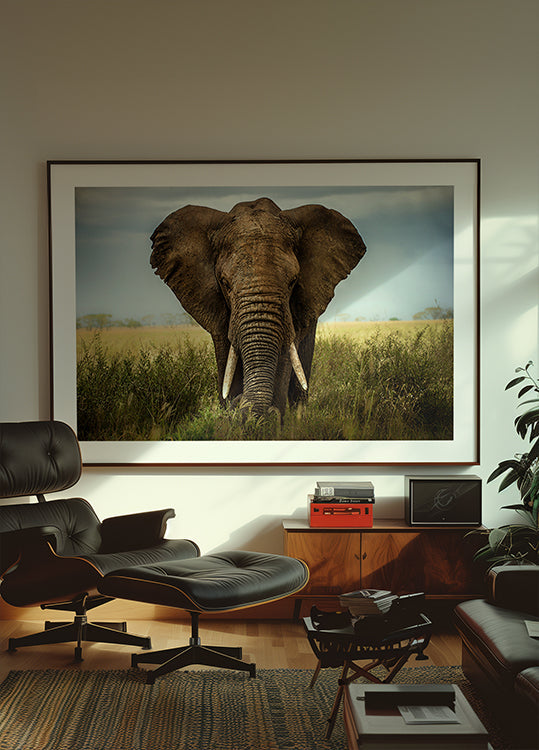 Begegnungen in der Serengeti
