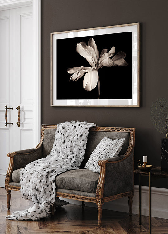 Exotisches Kaiserposter mit Tulpe