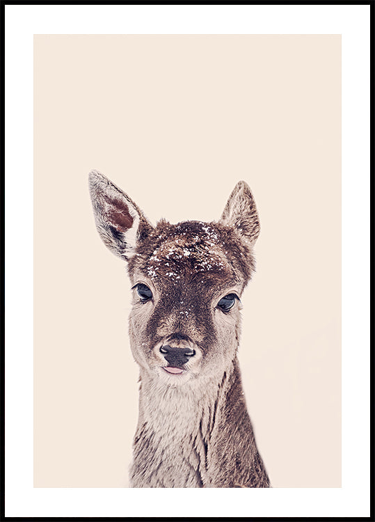 Fawn Rosé Beige Plakat - Posterbox