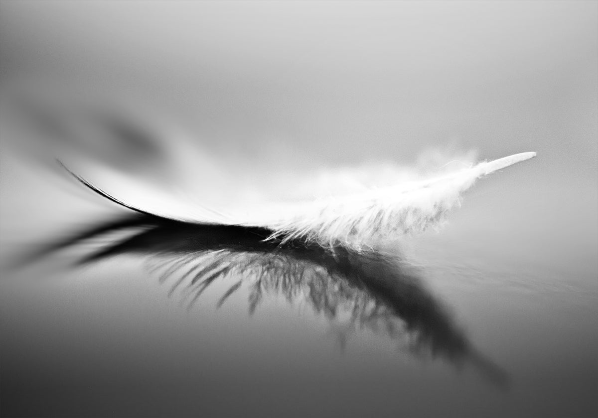 White - Posterbox