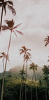Palms and Mountain Plakat - Posterbox.dk