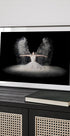 Flour Wings - Posterbox