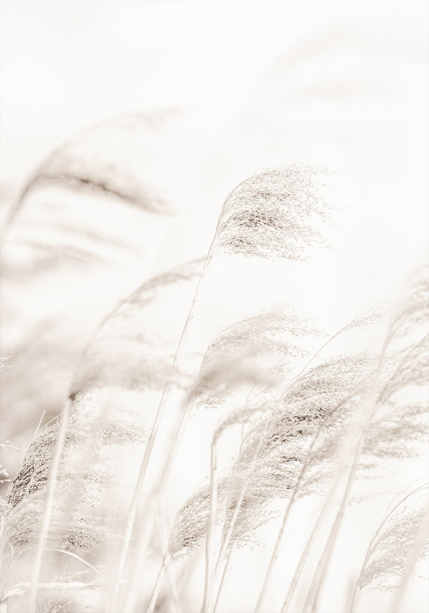 REED Plakat - Posterbox