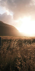 Autumn Sunset Over the Field Plakat - Posterbox.dk