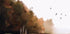Autumn Watercolor Landscape Plakat - Posterbox.dk