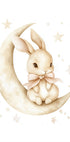 Bunny on the Moon Plakat - Posterbox.dk
