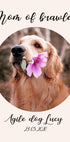 Custom Dog Portrait Plakat - Posterbox.dk