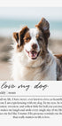 Custom Pet Portrait Plakat - Posterbox.dk