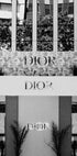 Dior Madrid Boutique Black & White Plakat - Posterbox