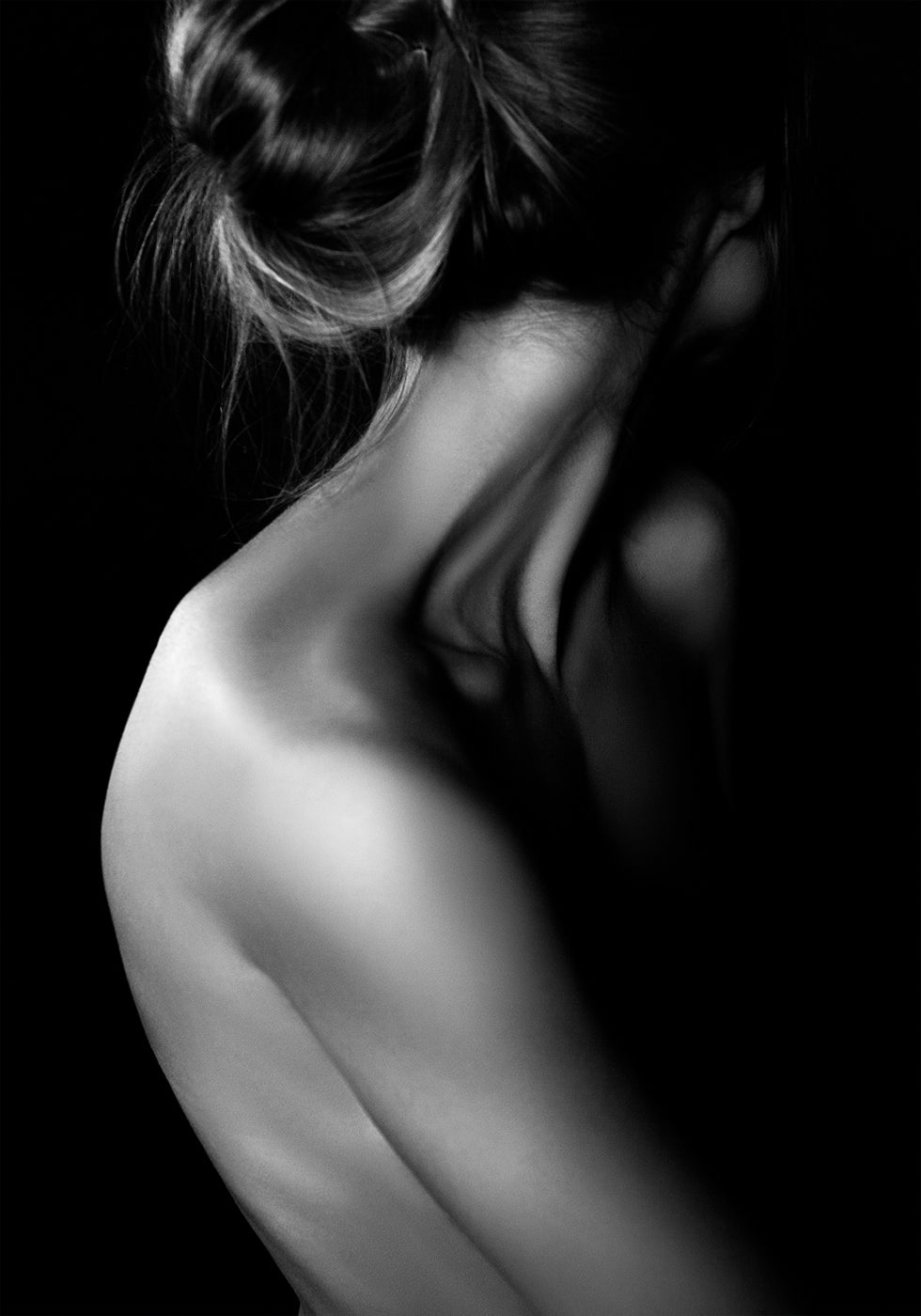 Elegance in Shadows Plakat - Posterbox.dk