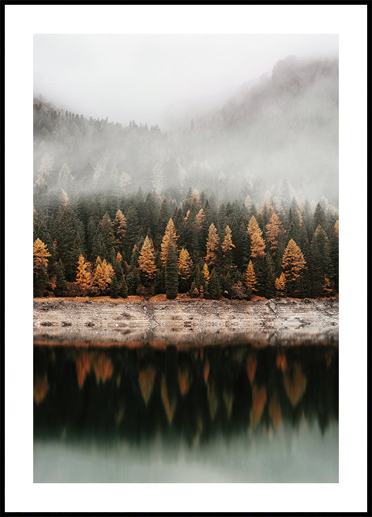 Foggy Autumn Forest Near the Lake Plakat - Posterbox.dk