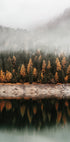 Foggy Autumn Forest Near the Lake Plakat - Posterbox.dk