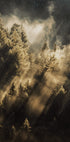 Forest at Sunrise Plakat - Posterbox.dk
