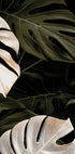 Golden Monstera №1 Plakat - Posterbox.dk