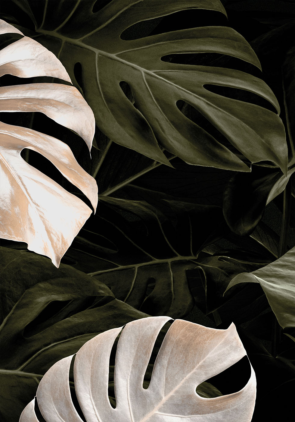 Golden Monstera №1 Plakat - Posterbox.dk