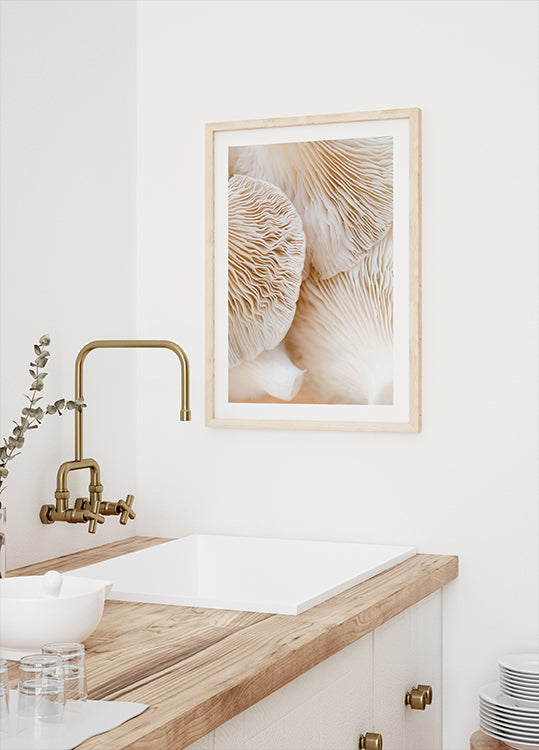 Mushrooms Close-Up Plakat - Posterbox.dk