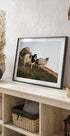 Sheep of Iceland Plakat - Posterbox.dk