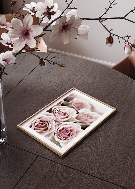 Soft Pink Roses Plakat - Posterbox.dk