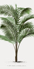 Vintage Palm Tree No. 2 Plakat - Posterbox.dk