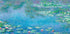 Water Lilies by Claude Monet 1906 Plakat - Posterbox.dk