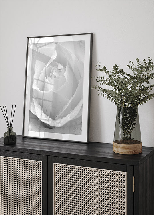 White Rose No.2 Plakat - Posterbox.dk