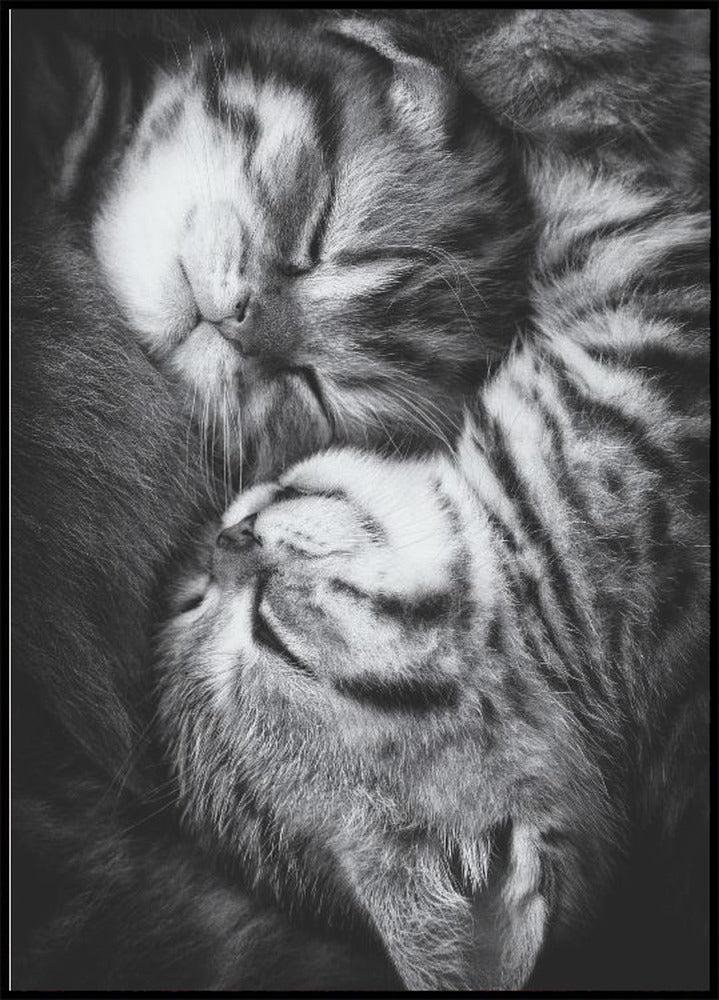 Yin- und Yang-Poster