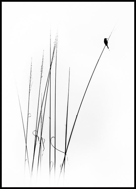 a sabbatical - Posterbox