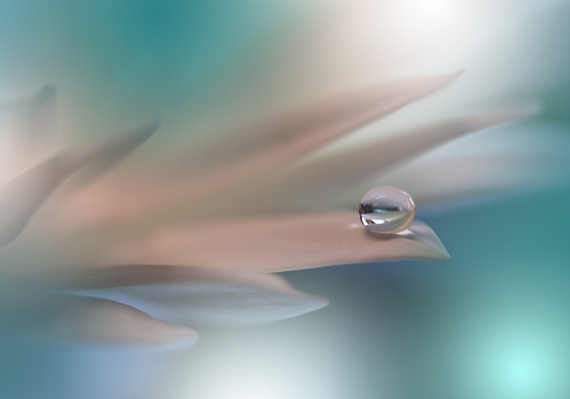 Zarter Wassertropfen