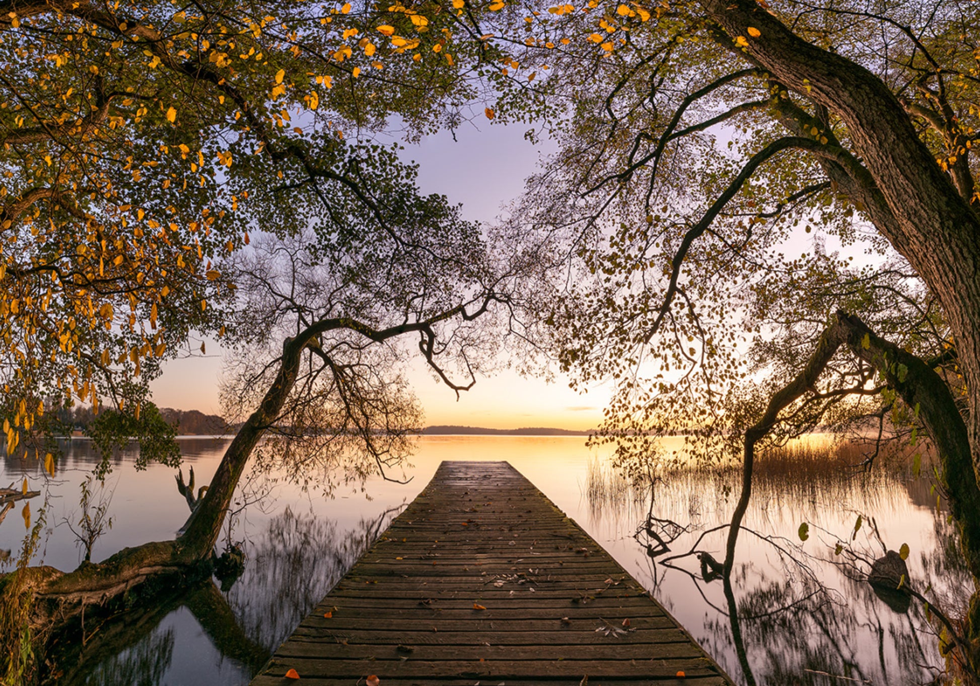Goldener Herbstpier
