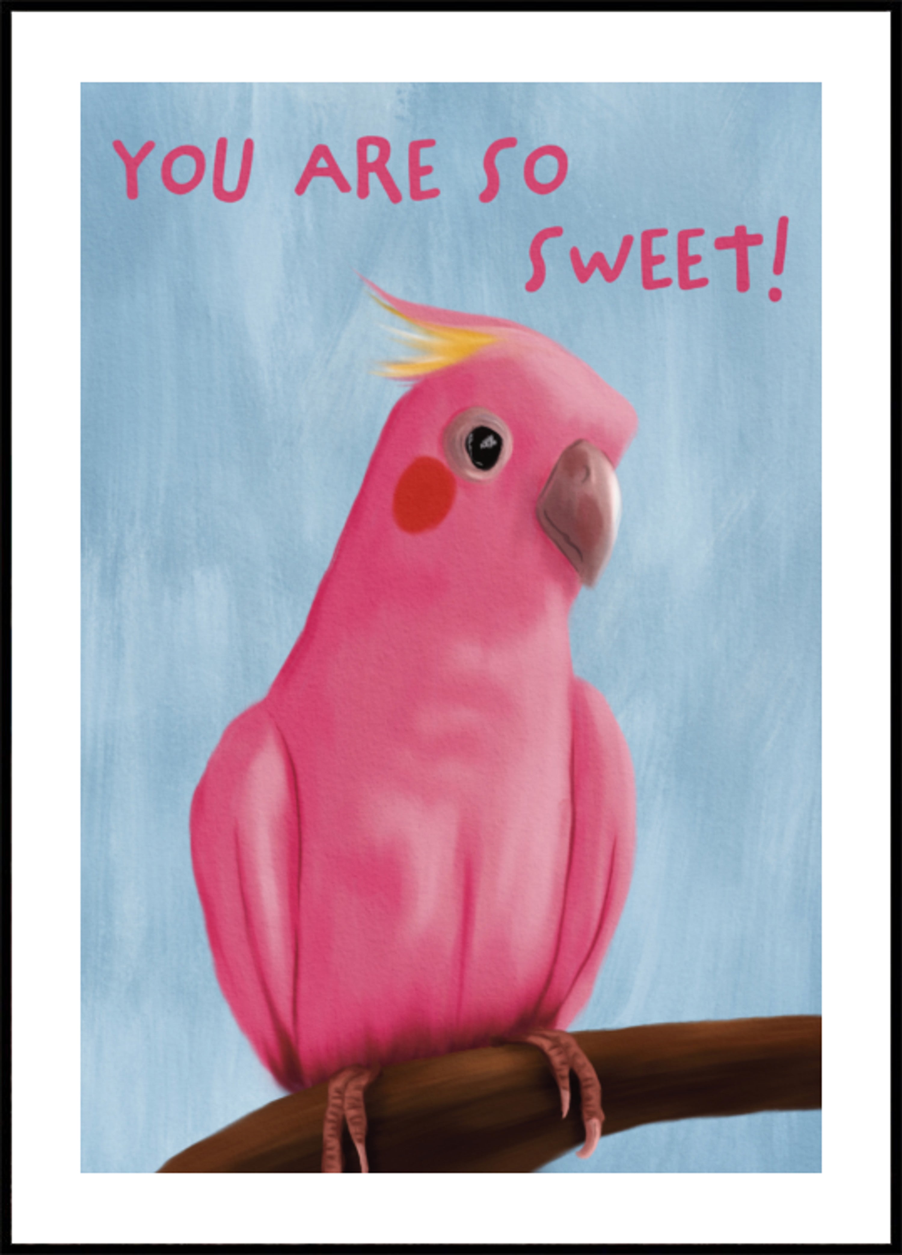Süße rosa Galah