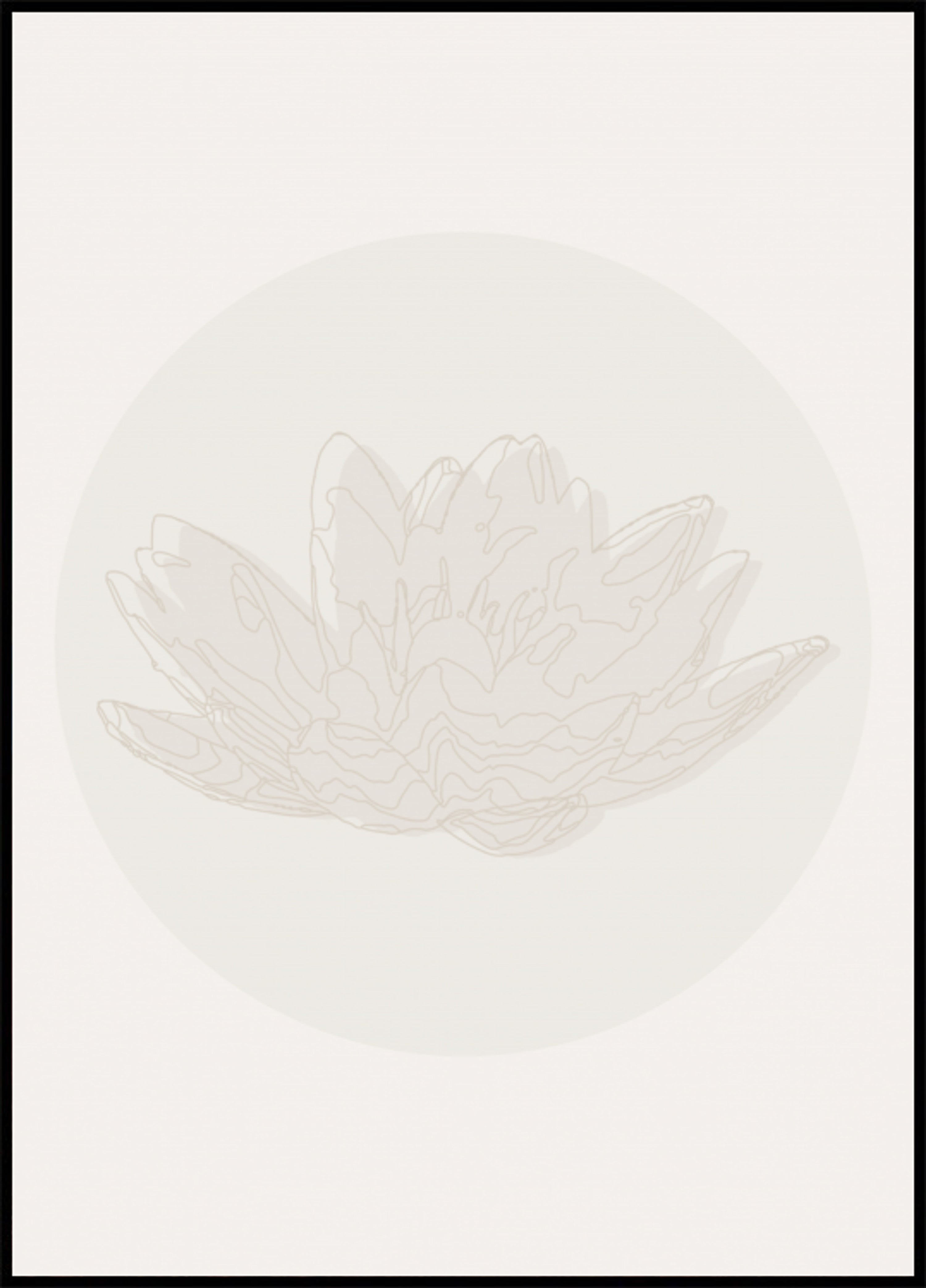 Ruhige Lotusblume