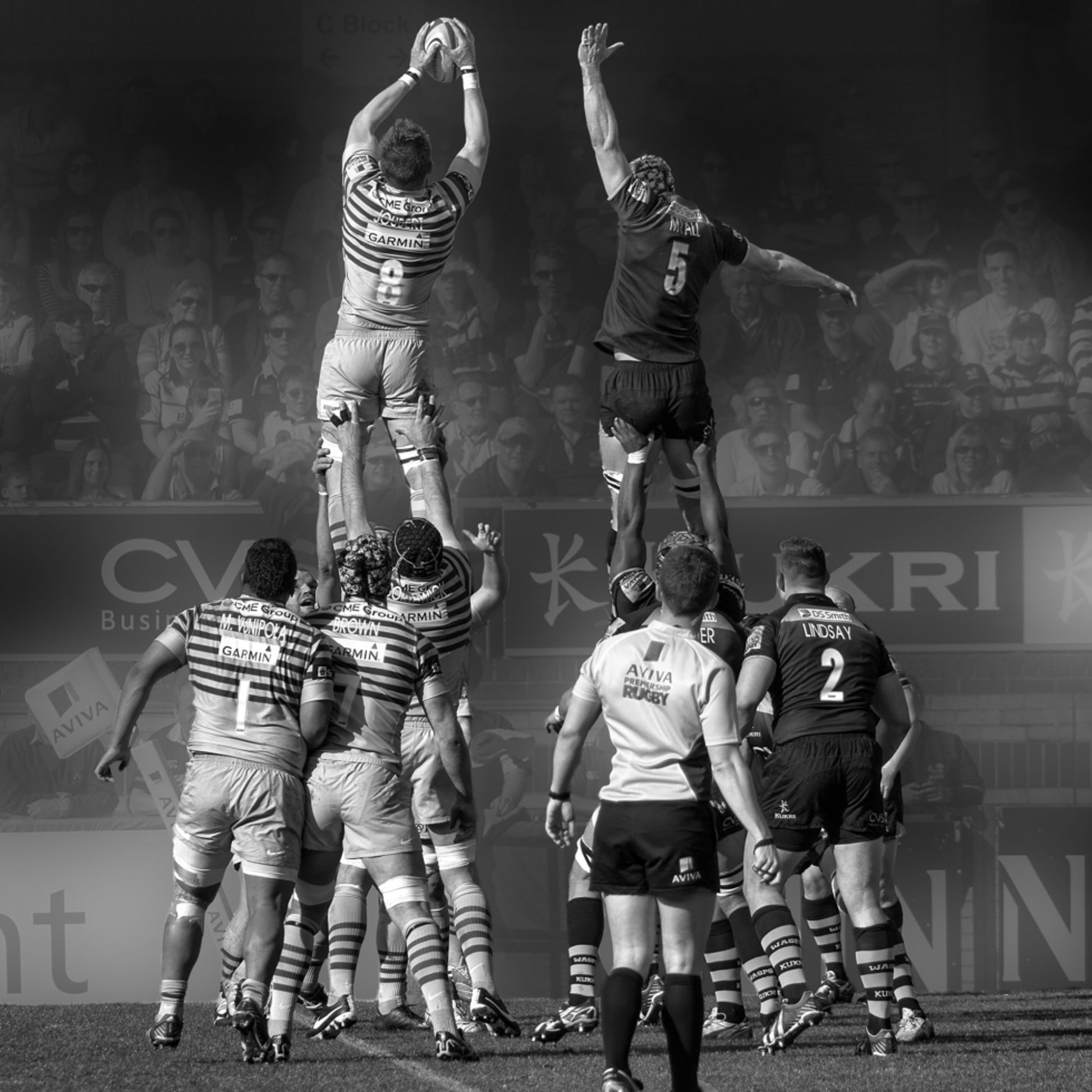 Rugby-Lineout-Aktion